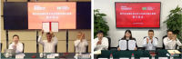 中國寶武，究竟儲備了多少鐵礦？